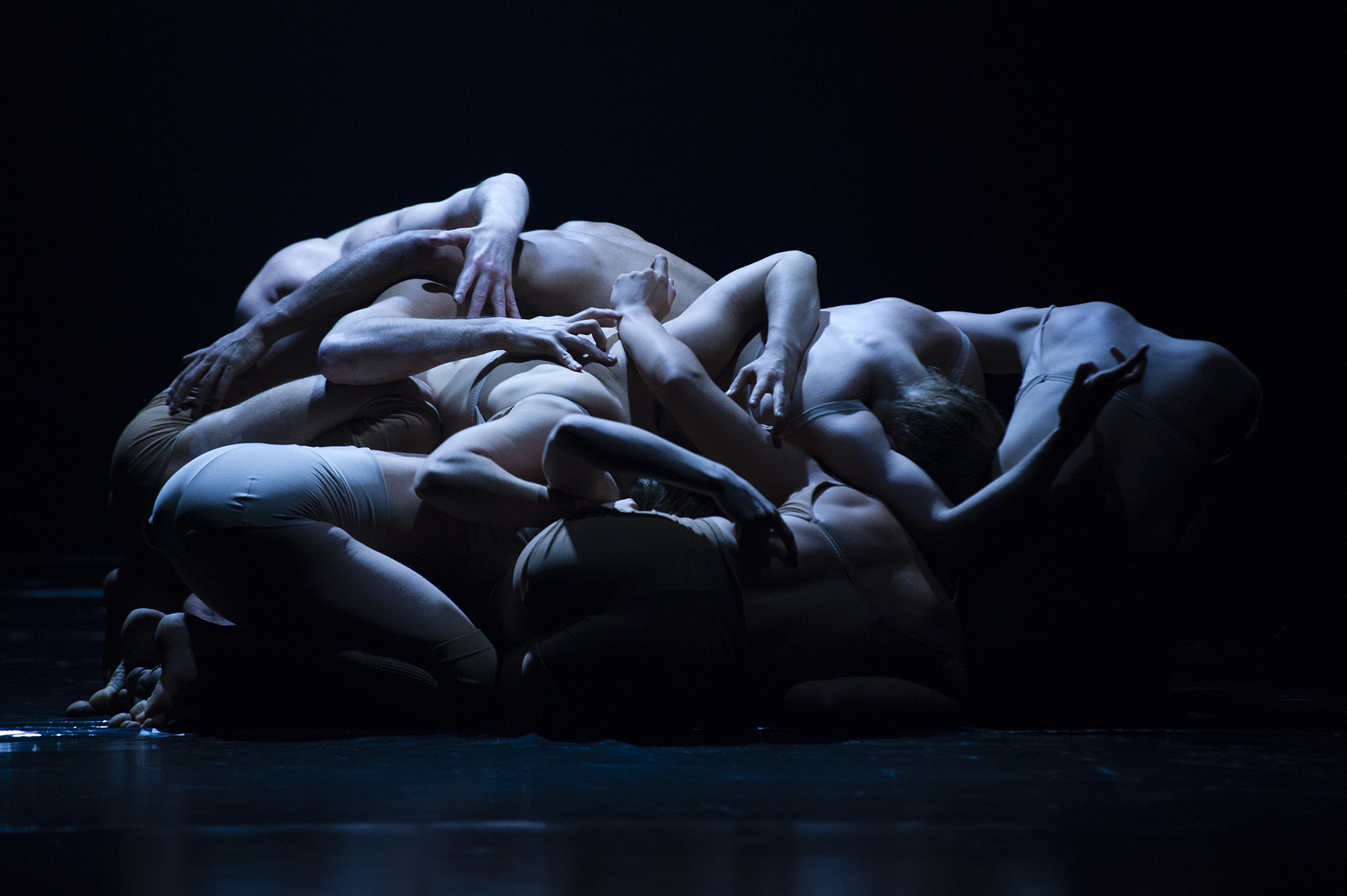 Iceland Dance Company