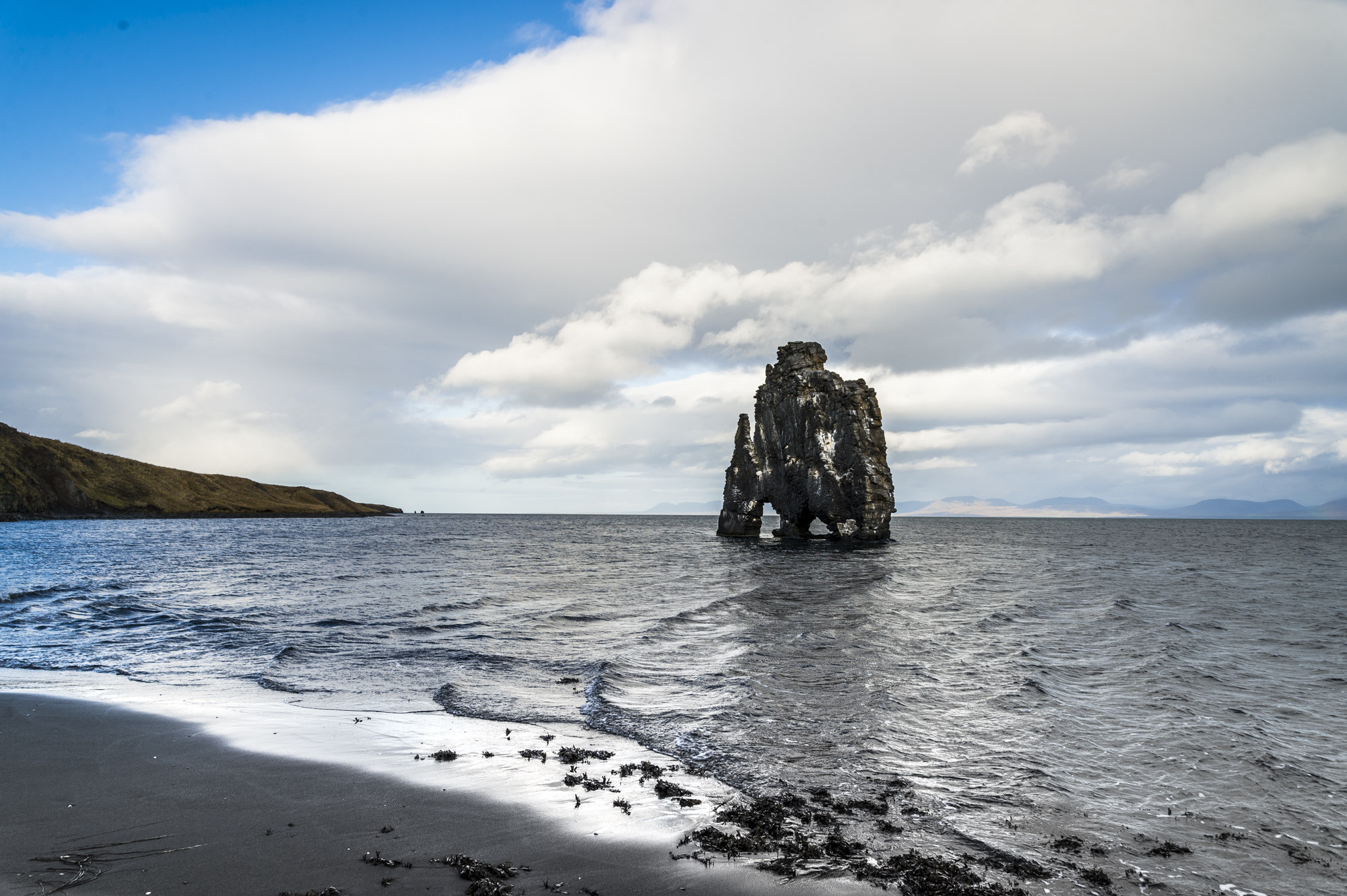 Meet Must See in Iceland – our newest offspring